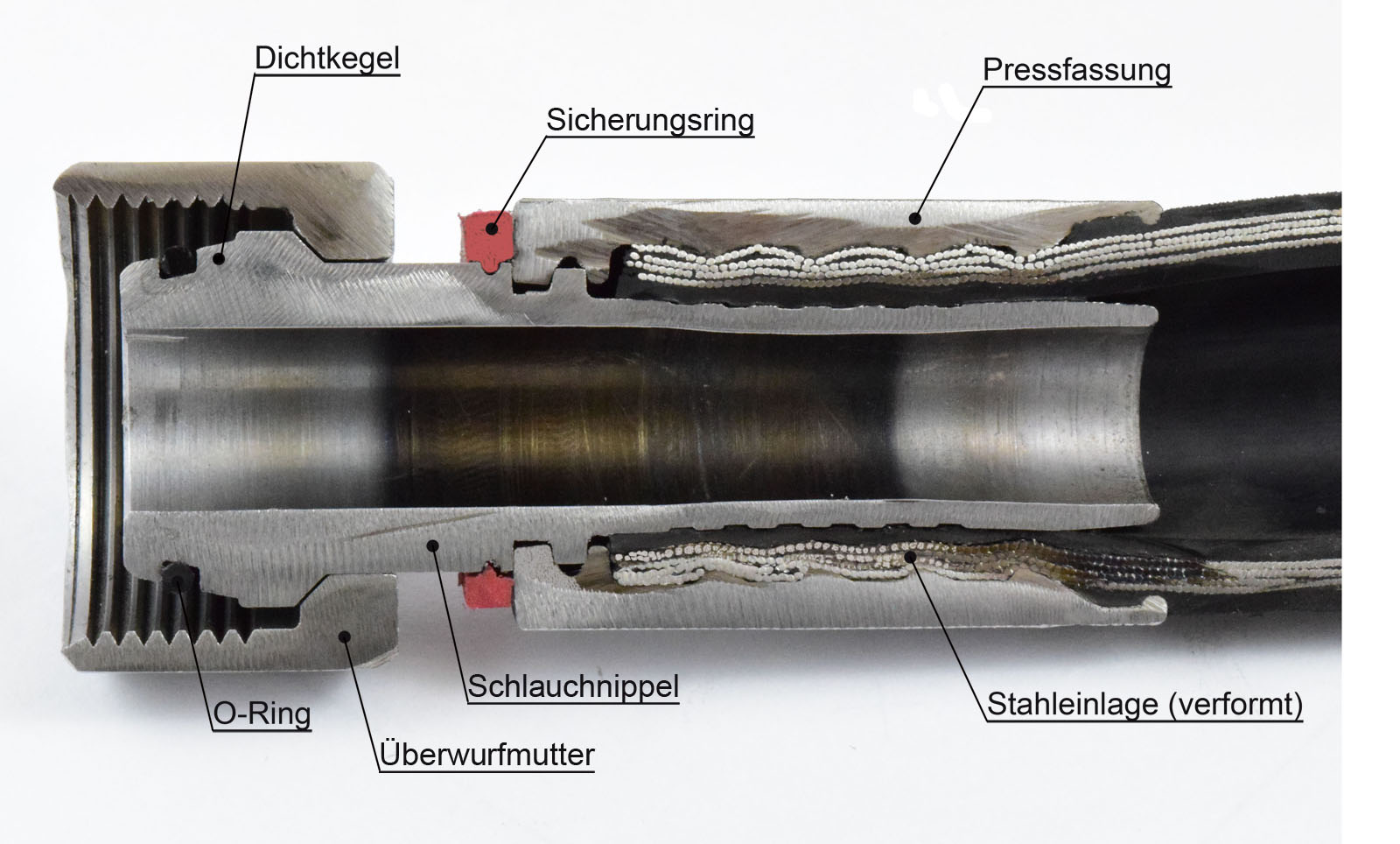 Hydraulikschlauch-Querschnitt Hydraulikschlauch-Querschnitt